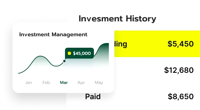 Zephgain digital investment