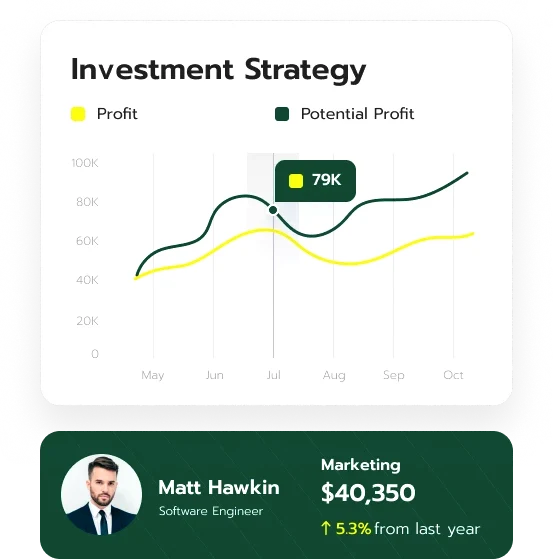 Zephgain financial analysis